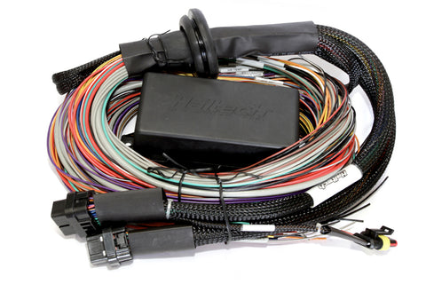 Haltech Wire Harness