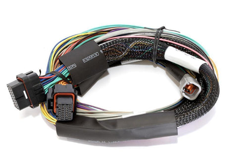 Haltech Elite 2500 and 2500T Flying Lead Harness