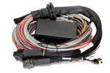 Haltech Elite 2500 and 2500T Flying Lead Harness